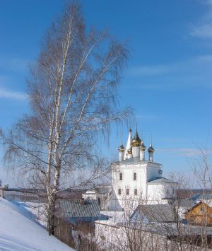 Троице-Никольский монастырь. Зима 2010