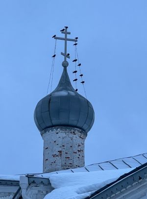 Троице-Никольский монастырь. Монастырские купола. Утреннее фото. Зима 2022